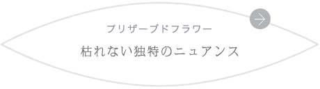 プリザーブドフラワー 枯れない独特のニュアンス